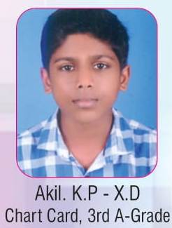 Work Experience- Kerala state- Chart Card making- 3rd  A grade- 2017-2018